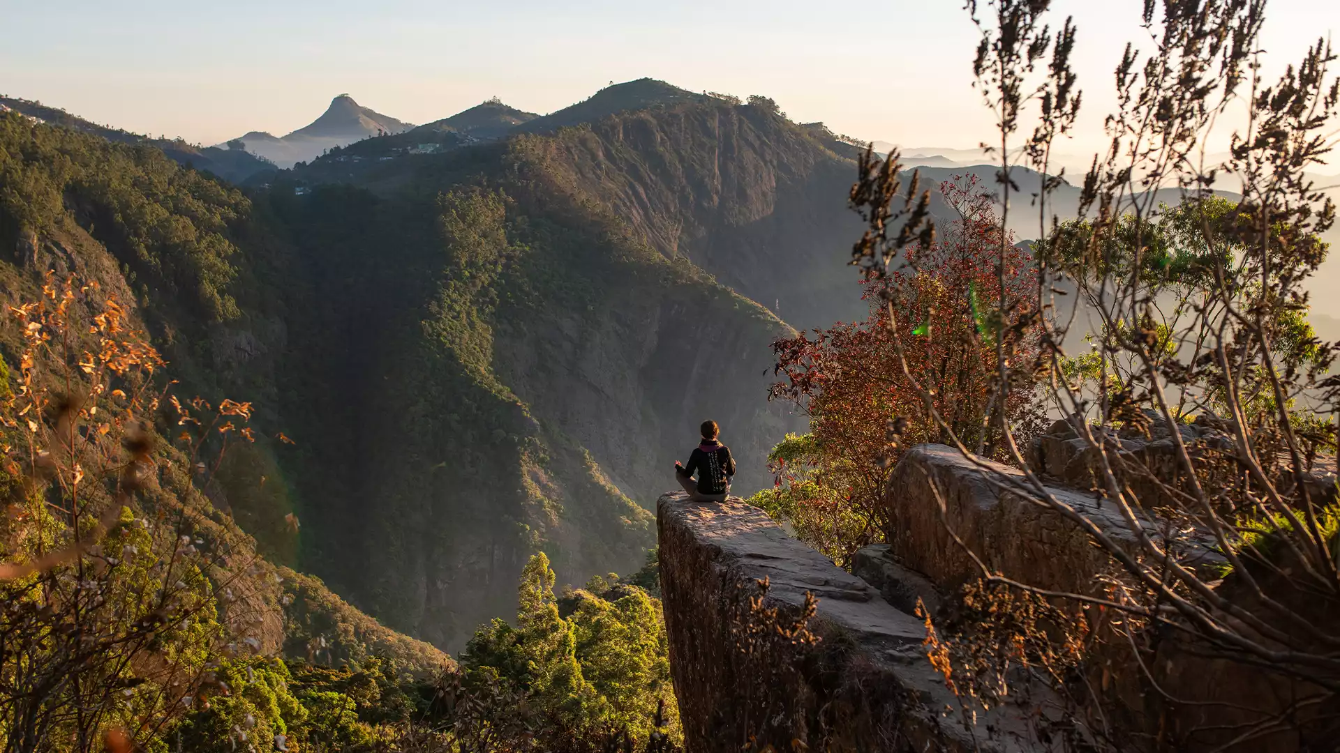 Dolphin's Nose